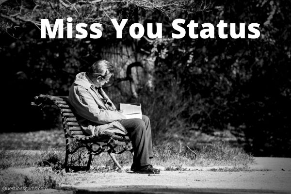 miss you status