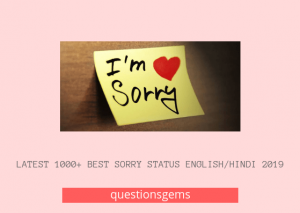 Best Sorry Status In English/Hindi 2019