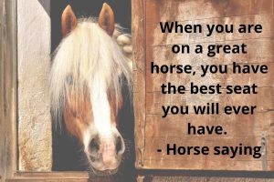 horse sayings