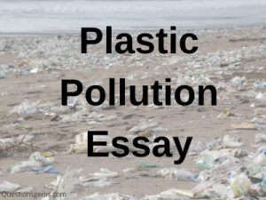Plastic pollution argument essay picture