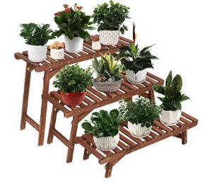 Best Plant Stand