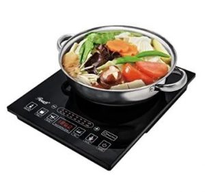 Best Portable Induction Cooktops