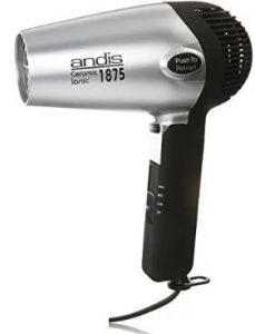 Best Rated Portable Hair Dryer