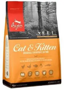 Top Rated Cat Food Brands