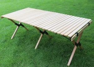Portable Picnic Table
