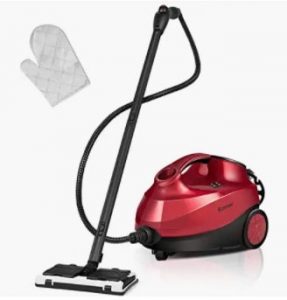 Top Best Portable Steam Cleaner