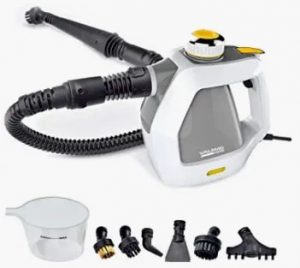 Portable Steam Cleaners