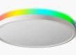 Smart Ceiling Light Under 100