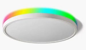 Smart Ceiling Light Under 100