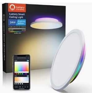 Best Ceiling Lights Under $100