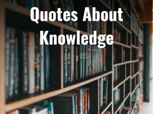 Quotes About Knowledge