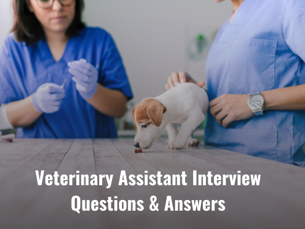 Top 88+ Veterinary Assistant Interview Questions & Answers